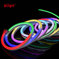 Led Neon Flex Strip 5M LED Neon Flex RGBIC Pixel Adressable Garden Theme Park Hotels Red Blue Color Temperature Garden Light
