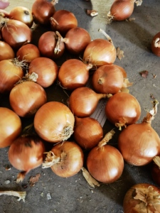 Hữu Cơ Toàn Bộ Gốc Lá Không Khí Khô Hành Mảnh Số Lượng Lớn Ngọt Ngào Tinh Khiết Flavour Nướng Cắt Nhỏ Bột Khô Fd Màu Xanh Lá Cây Rau Có Hương Vị - Product Image 2