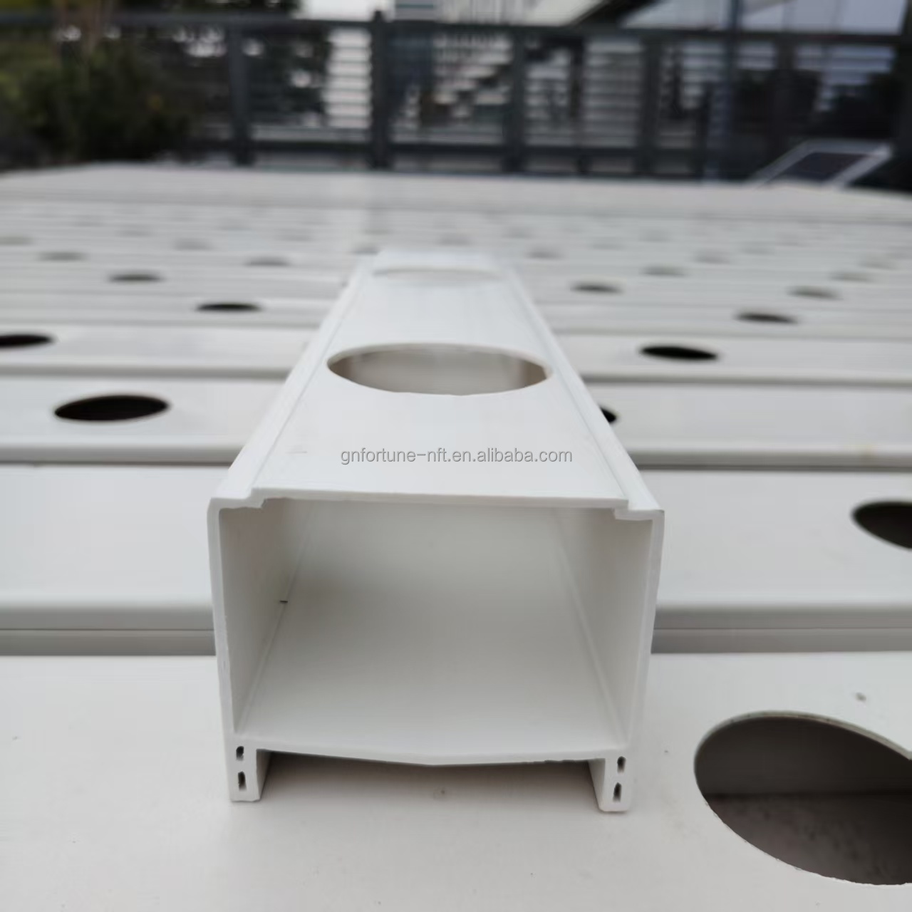 automated hydroponics