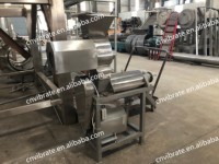 VBJX Professionele RVS Ananas Gember Sinaasappel Appel Schroeversapcentrifuge Extractor Machine