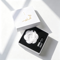 Diffuseur d'huiles essentielles en céramique parfumée, personnalisable avec logo, pour armoire, voiture et maison, en forme de pierre aromatique suspendue
