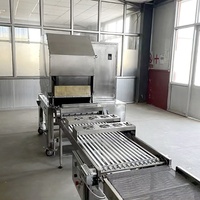 Machine automatique pour la fabrication de lumpias, crêpes, samosas, rouleaux aux œufs et rouleaux de printemps, machine à fabriquer des enveloppes de rouleaux de printemps