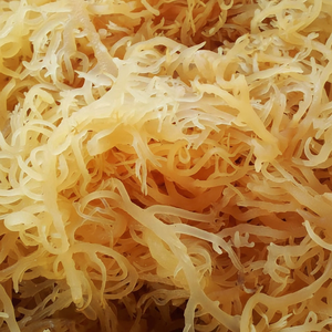 La mousse de mer irlandaise jaune profite à la variété Laver assaisonnée et rôtie séchée en sac-Tracy - Product Image 1