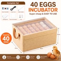 Incubateur à œufs 40 places, double tension 110V/220V, pour l'élevage domestique de poulets, canards, cailles et volailles – Vente en gros