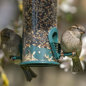 Mangeoire à oiseaux <span class=keywords><strong>multi</strong></span>-perforée suspendue pour l'extérieur Distributeur de nourriture pour oiseaux avec couvercle côté transparent Mangeoire à oiseaux sauvage portable pour le jardin - Product Image 4