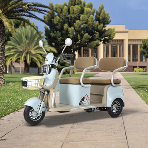 <span class=keywords><strong>Tricycle</strong></span> <span class=keywords><strong>électrique</strong></span> pliable 600W sans balais pour adultes, à 3 roues, à carrosserie ouverte, pour passagers handicapés, livraison rapide depuis la Chine - Product Image 3