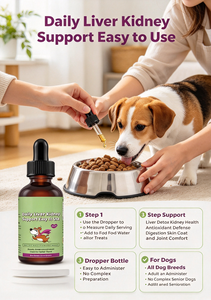 Liquido Detox per Fegato e Reni con Cardo Mariano e Curcumina per <span class=keywords><strong>Cani</strong></span>, Supporta la Salute Epatica e Renale con Olio di Pesce, Contenitore con Contagocce, OEM - Product Image 4