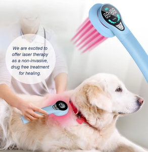 Terapi Cahaya Hewan Anjing/Kuda Pereda Nyeri Pengobatan Artritis Penyembuhan Luka Terapi Cahaya Medis Laser Hewan Peliharaan - Product Image 6
