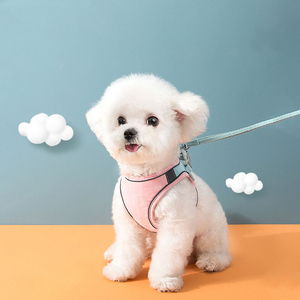 デザイナーかわいいペットハーネスリーシュセット-カスタムロゴ,Bichon Frise & Cats用小型犬ハーネス - Product Image 1