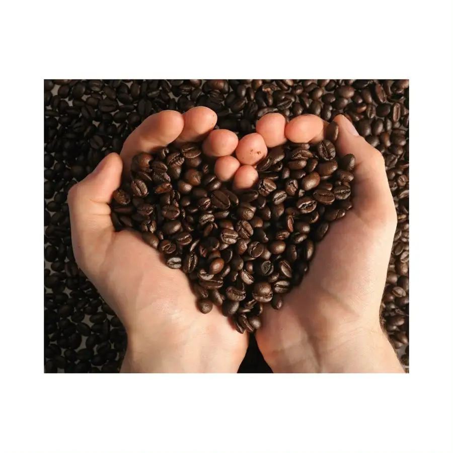 Prodotti popolari chicchi di caffè tostati per aziende di importatori chicchi di caffè di alta qualità