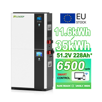 Batterie au lithium LifePO4 BYD tout-en-un 51,2 V 228 Ah 314 Ah 12 kWh 16 kWh pour système de stockage d'énergie solaire domestique – Stock Pologne