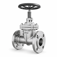 Vanne à opercule manuelle à bride LUOKEFM Z41W-25P CF8 PN16 pour pipelines pétroliers et gaziers, siège métallique -20~425, contrôle de débit industriel
