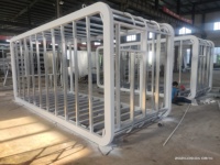 Cabine Apple préfabriquée pour hôtel, habitation ou bureau en extérieur, conception modulaire personnalisée, pod de bureau préfabriqué en acier galvanisé