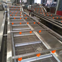 Laveuse de gingembre, équipement de lavage industriel pour fruits et légumes, machine de nettoyage et de séchage pour dattes, raisins et poissons, machine à laver les légumes