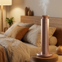 Diffuseur d'huiles essentielles professionnel pour grandes surfaces - Idéal pour les hôtels, les halls d'accueil et les centres commerciaux