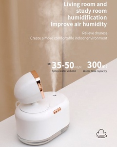 Mini lampe solaire <span class=keywords><strong>sans</strong></span> <span class=keywords><strong>fil</strong></span> 2 en 1, humidificateur d'air, <span class=keywords><strong>diffuseur</strong></span> d'arôme et d'eau, batterie de 2000mAh, pour le bureau et la maison, prendre des Photos - Product Image 4