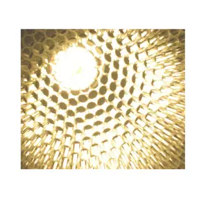 Inti Sarang Lebah PC Dalam Panel Sandwich Dekoratif Transparan, Daya/Berat Rasio Tinggi Cahaya Yang Mencerminkan