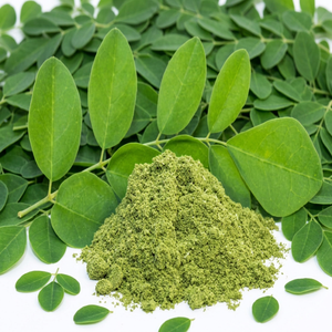 Fournisseurs de poudre de feuilles de Moringa de qualité supérieure à prix abordable - Product Image 1