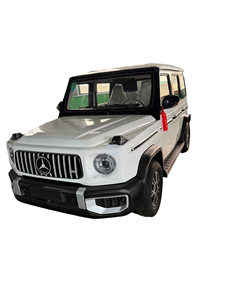 Véhicule électrique mini à quatre roues premium et pratique, autonomie <100 km, batterie 30 kWh, nouvelle solution énergétique pour les trajets urbains de courte distance - Product Image 4