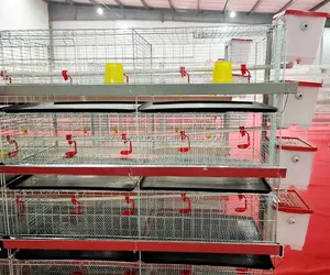 Poultry farm automatic chicken broiler day old chicks baby breeding cage H type 4 tires chicks brooder cage for home use
