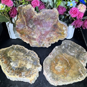 Vente chaude en vrac en bois brut grandes dalles fossiles en bois pétrifié en bois pétrifié poli pour ornement - Product Image 3