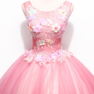 <span class=keywords><strong>Robe</strong></span> de soirée de <span class=keywords><strong>princesse</strong></span> pour filles, tenue de bal pour femmes, tenue de fête <span class=keywords><strong>rose</strong></span> en dentelle appliquée - Product Image 5