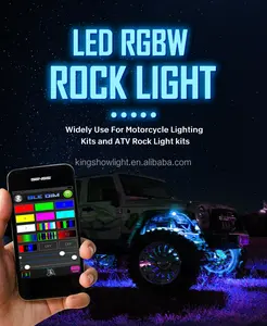 RGBW 8 bakla Underglow renkli Neon BT zamanlama fonksiyonu yanıp sönen müzik modu LED kaya ışıkları donanımı kamyon ATV UTV RZR SUV