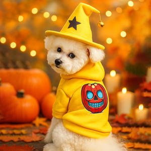 Teddy Bichon Poméranien Petit Chien Chiot Sweat-shirt Style Classique Imprimé sur Polyester pour Printemps Automne Halloween Happy Cat Days - Product Image 1