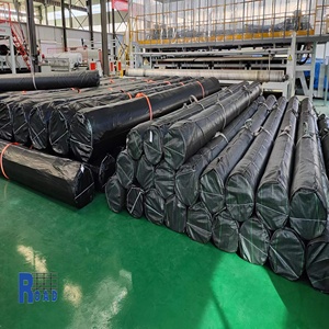 Thiết kế công nghiệp phong cách HDPE Pond <span class=keywords><strong>Liner</strong></span> geomembrane mật độ cao polyethylene không thấm nước geomembrane từ nhà cung cấp - Product Image 6
