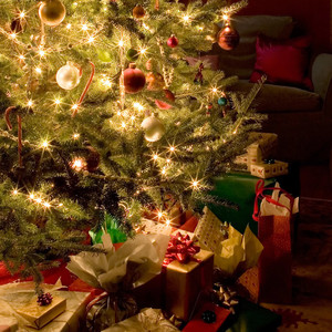 Pot en verre cubique de 12 oz pour les fêtes - Product Image 6