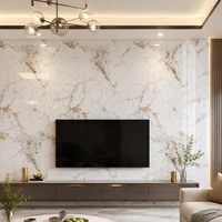 Plaque murale intérieure en PVC effet marbre WYRAX 1220x2440mm 3.0mm, blanc doré Calacatta, étanche, pour couloir résidentiel