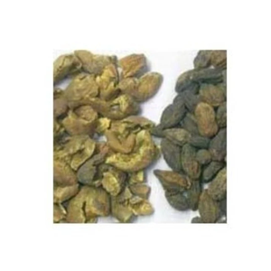 Baheda Chilka Bellirica Herbal Triple-tamizado Terminalia Bellirica Baheda OEM Semilla Baheda de alta calidad de la India - Product Image 2