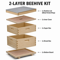 2-Rahmen Langstroth Bienenstock aus Holz für die Imkerei – Bienenhaus aus chinesischer Tannenholz mit Schwalbenschwanzverbindung, einfache Montage