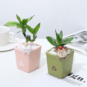 Mini Pots de fleurs décoratifs en résine, produits en gros, mignon bricolage de jardin de dessin animé, mousse succulente personnalisée - Product Image 2