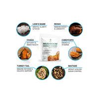 Mélange de superaliments en poudre de 6 extraits de champignons de qualité alimentaire, double extraction, Crinière de lion, Reishi, Cordyceps, Chaga, Queue de dinde, en flacon tambour