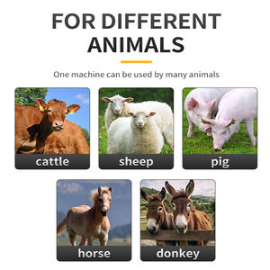 Détecteur d'ovulation automatique pour bovins de haute qualité, écran LCD de 2,6 pouces, kit de test de grossesse numérique pour vache - Product Image 6
