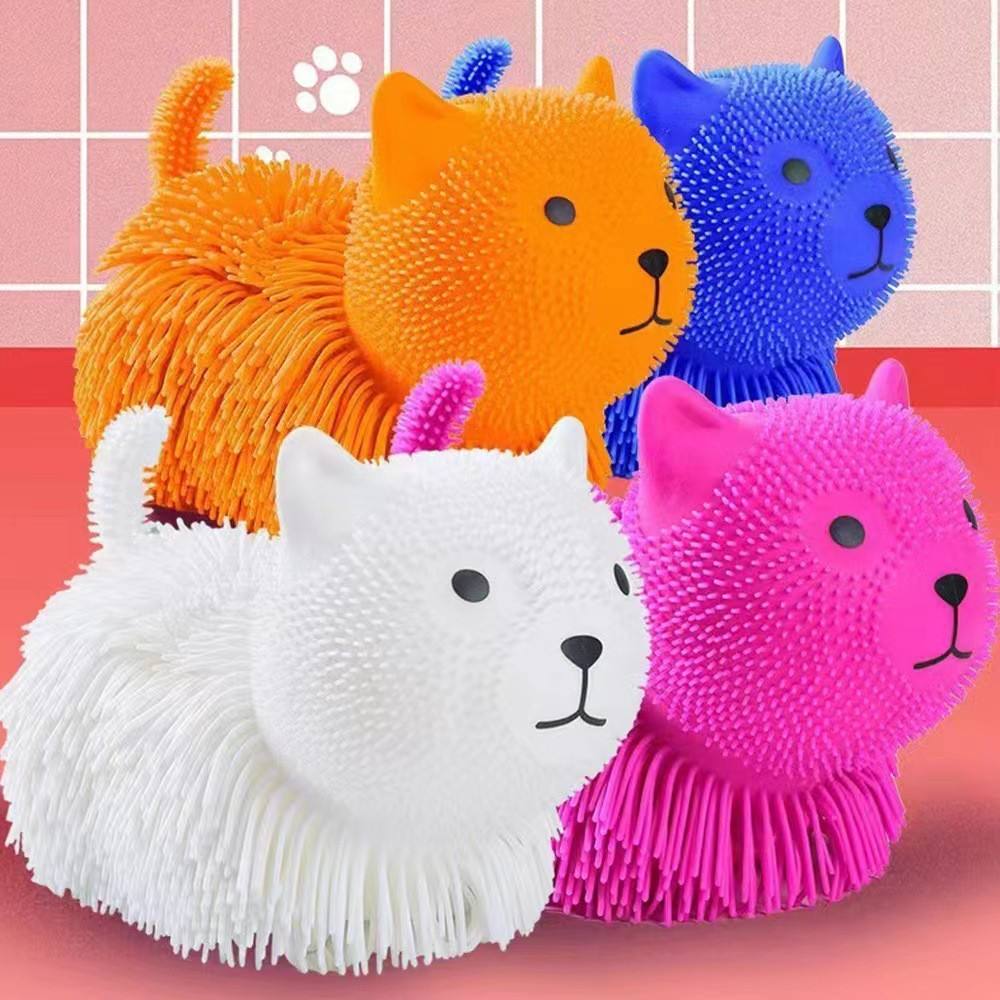 Flash gato grande de pelo denso