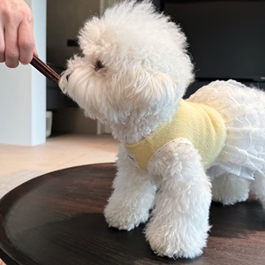 Le haut sans manches en coton imprimé avec patchwork de dentelle, idéal pour le printemps/été, convient aux vêtements pour animaux de compagnie de petite à moyenne taille. - Product Image 3