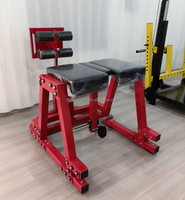 Chaise romaine professionnelle en métal pour entraînement abdominal et dorsal, avec fonctions de soulevés de jambes, tractions, curls, extensions et hyperextensions