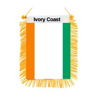 Drapeau du Congo Kinshasa promotionnel, fanion personnalisé, mini-drapeau de voiture USA pour fenêtre, fanion personnalisé