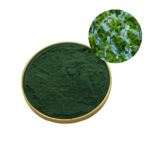 Pigmen Murni Klorofilin Garam Tembaga Natrium Bubuk Klorofilin Garam Tembaga Natrium yang Larut dalam Air - Product Image 1