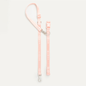 Trendy Functional <strong>Hands</strong> <strong>Free</strong> <strong>Dog</strong> <strong>Leash</strong> Adjustable Durable Custom Logo Jacquard Nylon <strong>Dog</strong> <strong>Leash</strong> Walking Lead