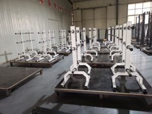Factory Direct Home Use Body Building Fitness Accessories Vertical <strong>Weight</strong> Plate <strong>Tree</strong> With <strong>Weight</strong> Plate - Product Image 5