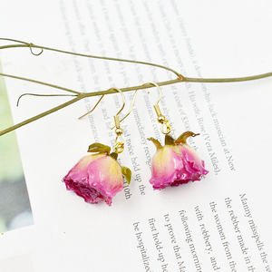Top Bán Thiết Kế Đầy Màu Sắc Hoa Khô Bông Tai Châu Âu Nhiều Màu Hoa Thật Dangle Earrings Cho Phụ Nữ - Product Image 2