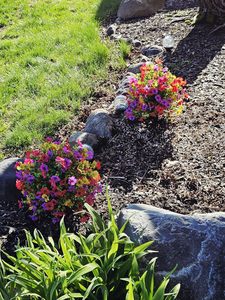 Decorazioni da Giardino Incantevoli, Fiori Artificiali con Picchetti per Esterni per Notti Magiche - Product Image 1