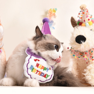 Babero de cumpleaños para gato o perro con sombrero, diseño de dibujos animados en terciopelo, unisex, accesorio para fiestas en las cuatro estaciones - Product Image 2