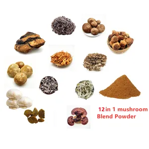 Powerful 12 in 1 Mushroom Blend, Mushroom Extract Powder 30% Polysaccharide