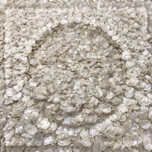 ÉCAILLES DE POISSON SÉCHÉES DE HAUTE QUALITÉ ET À PRIX COMPÉTITIF DU VIETNAM // Mme Lily - Product Image 1