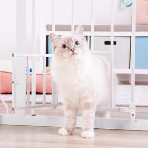 TAK Porte rétractable sans perçage pour escalier Garde-corps de porte pour animaux de compagnie Métal de haute qualité + ABS Porte de sécurité Porte de jeu - Product Image 2