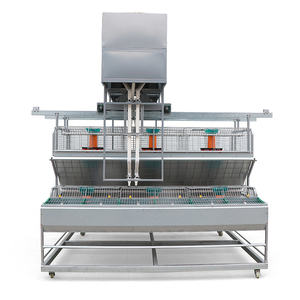 Çin profesyonel üretim tavşan kafesleri endüstriyel özel tavşan kafesi <span class=keywords><strong>rabit</strong></span> kafesleri tavşan tarım - Product Image 2